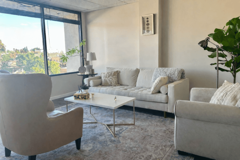 Image of therapy room including brown therapist chair with white client sofa